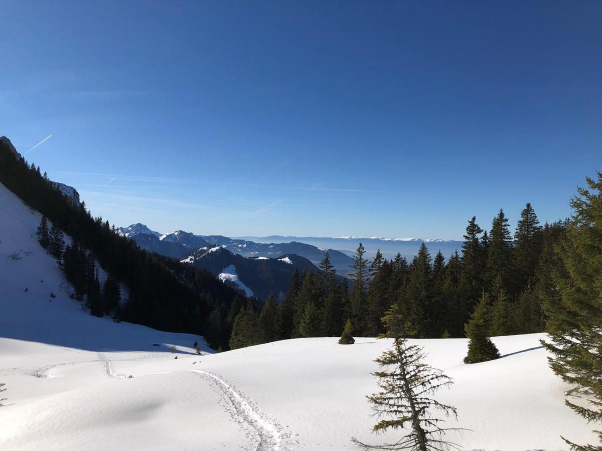 Studio Fondue Chocolat, 100M Des Pistes Wifi Fibre, Parking Prive Bernex Kültér fotó